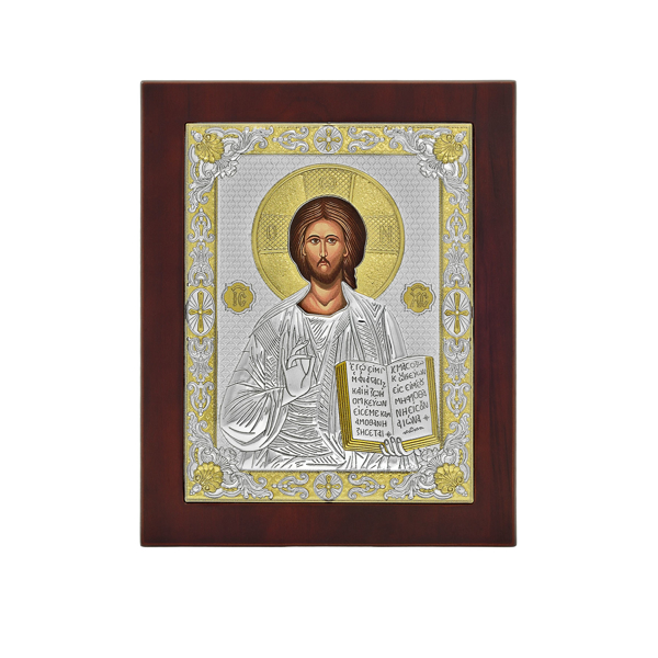 Εικόνα της SILVER ICON