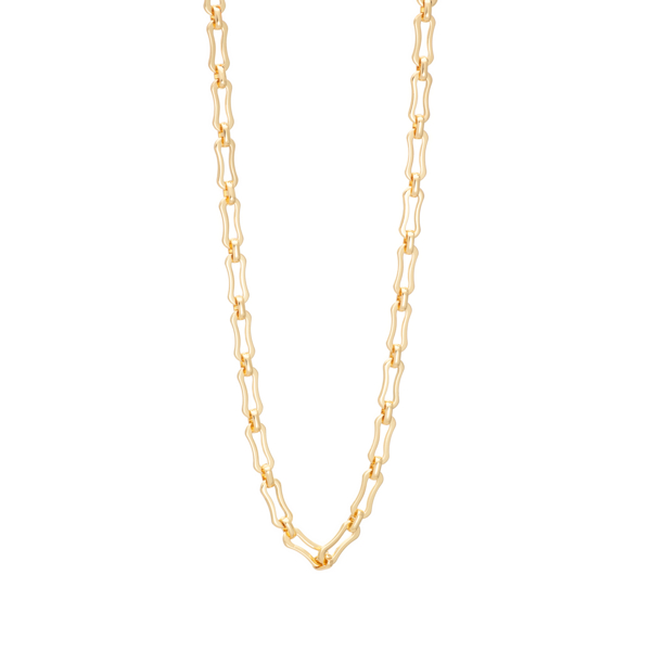 Εικόνα της PION