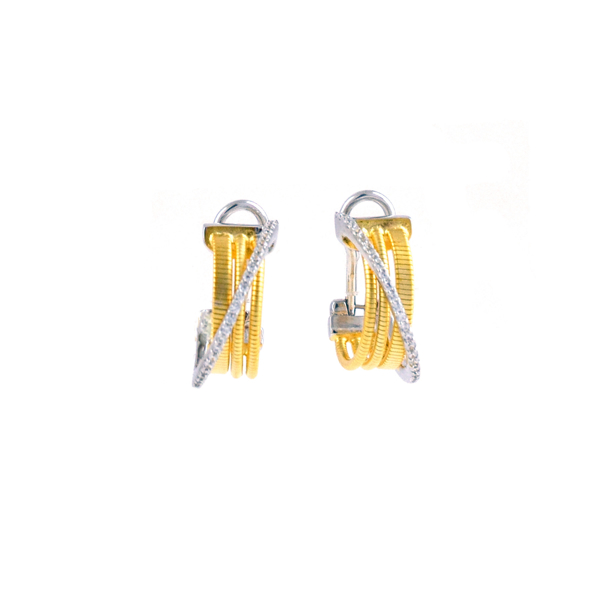 Εικόνα της TRIBUTE