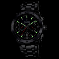 Εικόνα της SPECIAL FESTINA F206731