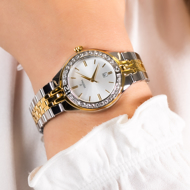 Εικόνα της FESTINA F168681