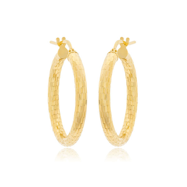 Εικόνα της CLASSY HOOPS
