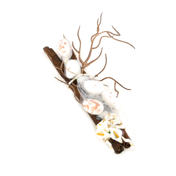 Εικόνα της CINNAMON