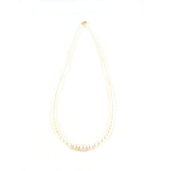 Εικόνα της PEARLS FULLER