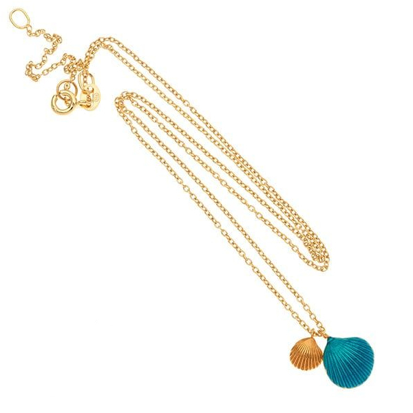 Εικόνα της SHELLS