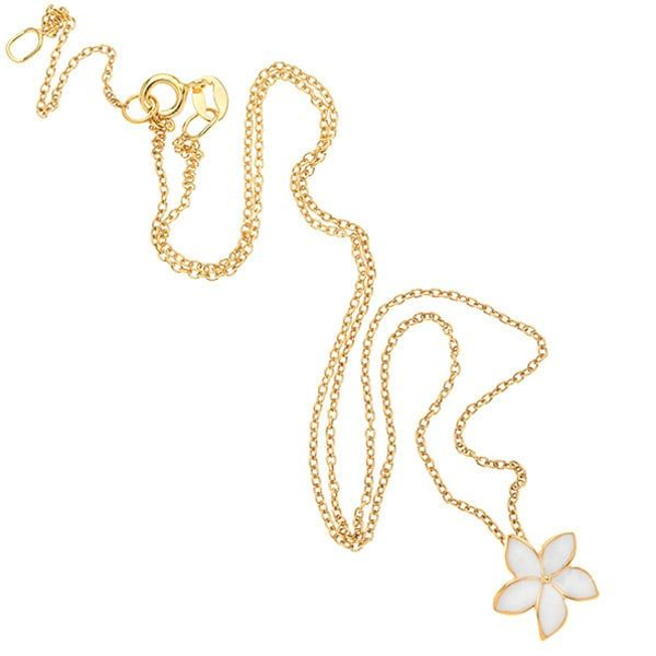 Εικόνα της WHITE BLOOMING