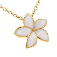 Εικόνα της WHITE BLOOMING