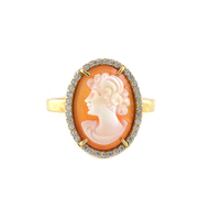 Εικόνα της CAMEO ZIRCON