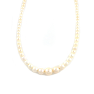 Εικόνα της PEARLS FULLER